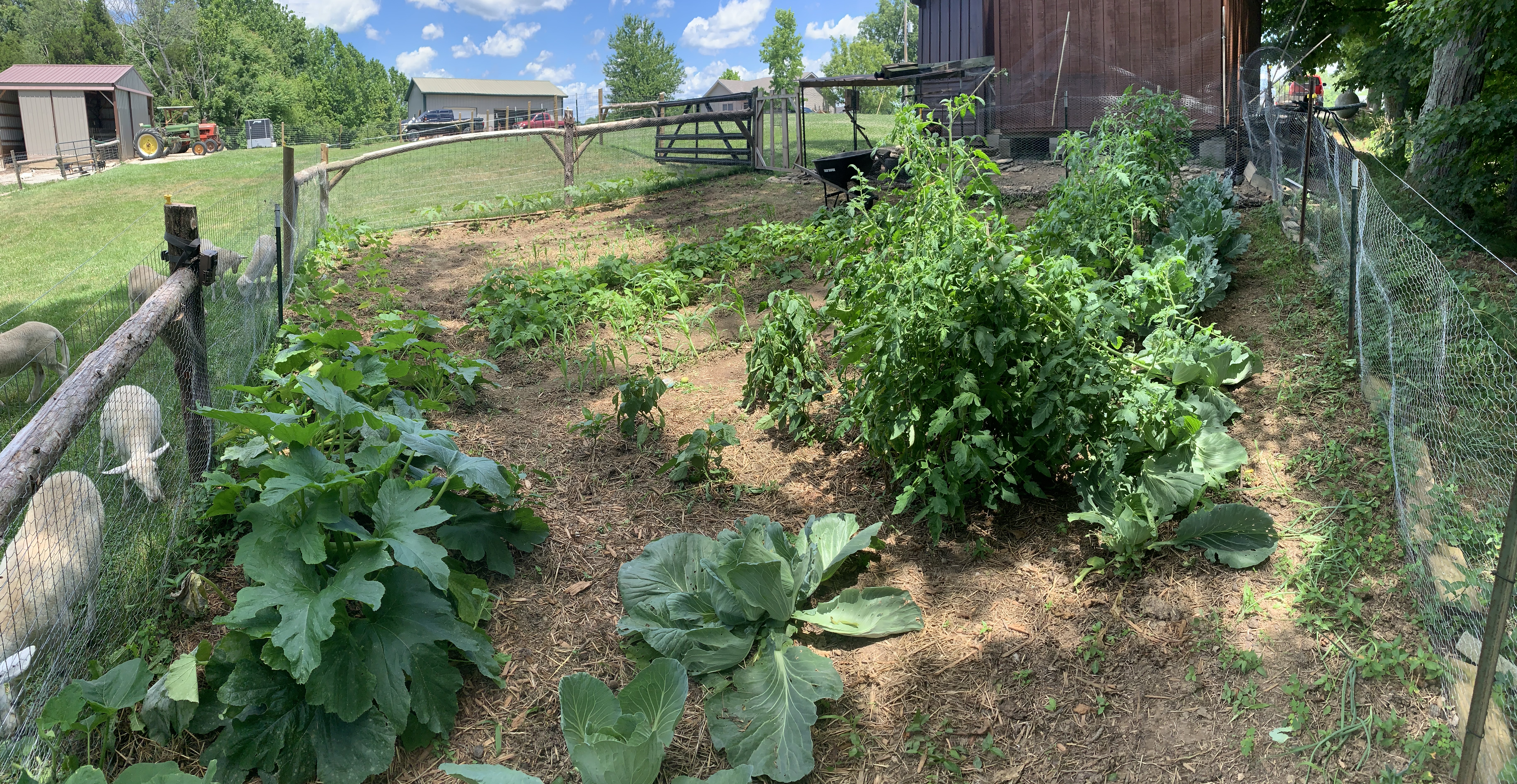 Correcting My Seed Starting Mistakes