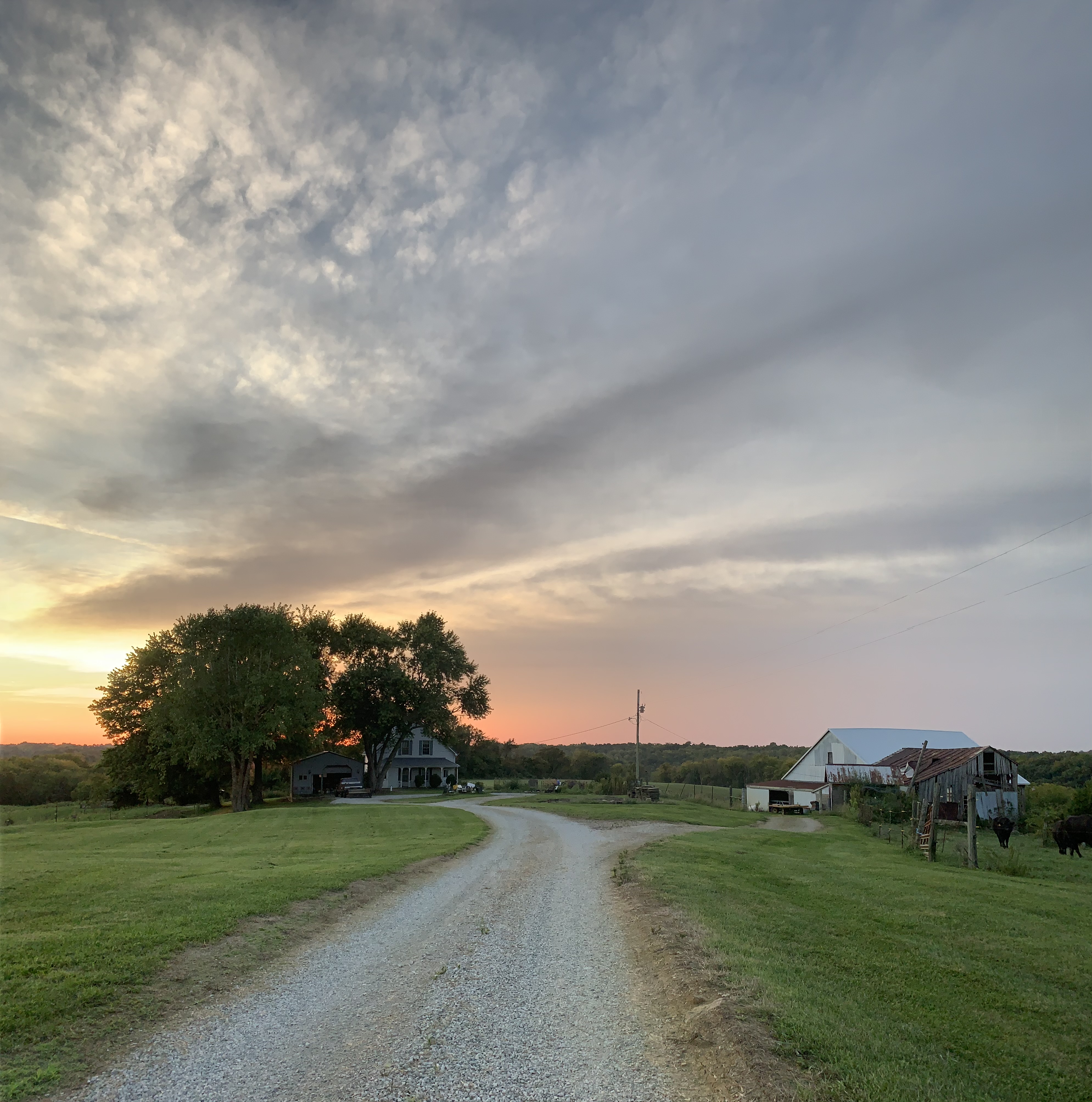The Dow Farm Renos: One